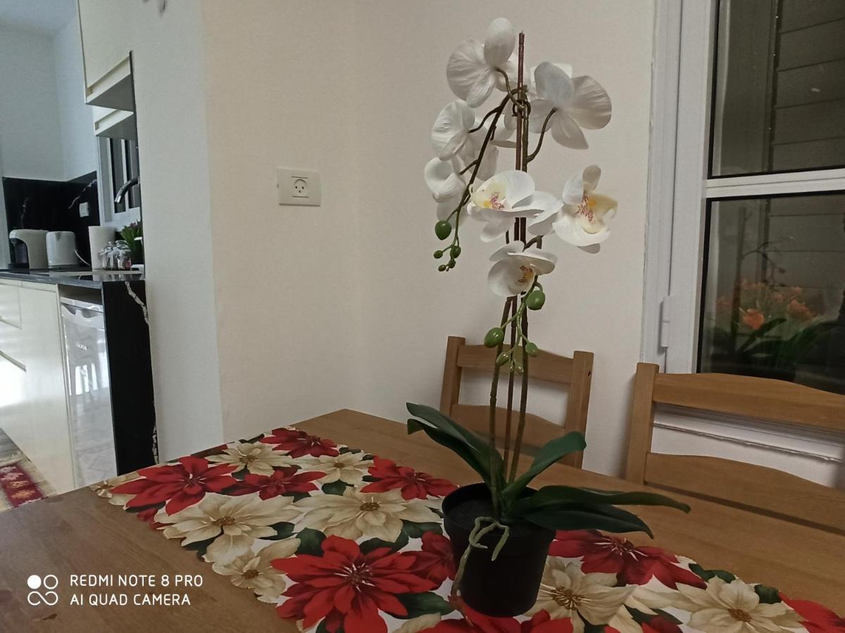 Boutique 22 Guest Rooms Haifa Exteriör bild